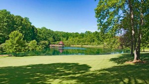 Homes for Sale in Vienna